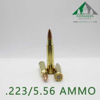 223 / 5.56mm Ammo