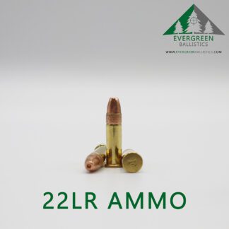 22 LR Ammo