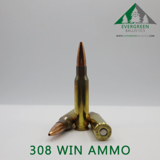 308 Win / 7.62x51mm Ammo