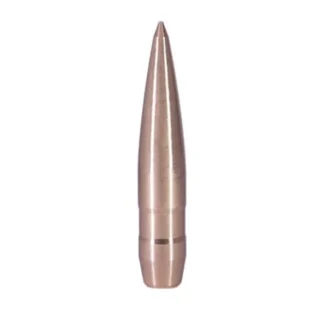 .264 123 Gr Rifle Bullet