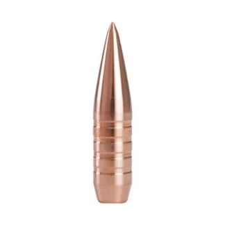 308 168 Gr Rifle Bullet
