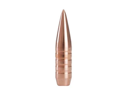 308 168 Gr Rifle Bullet