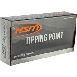 HSM 30-06 Ammo