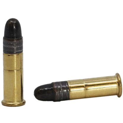 Winchester 22lr subsonic ammo